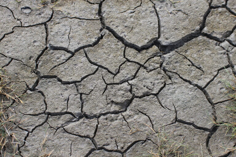 Photo of cracked, dry soil with small patches of grass along the edges.